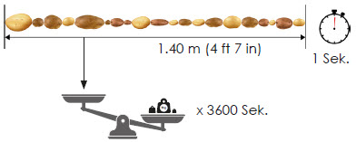 Sortierkapazität - Kartoffeln pro Sekunde